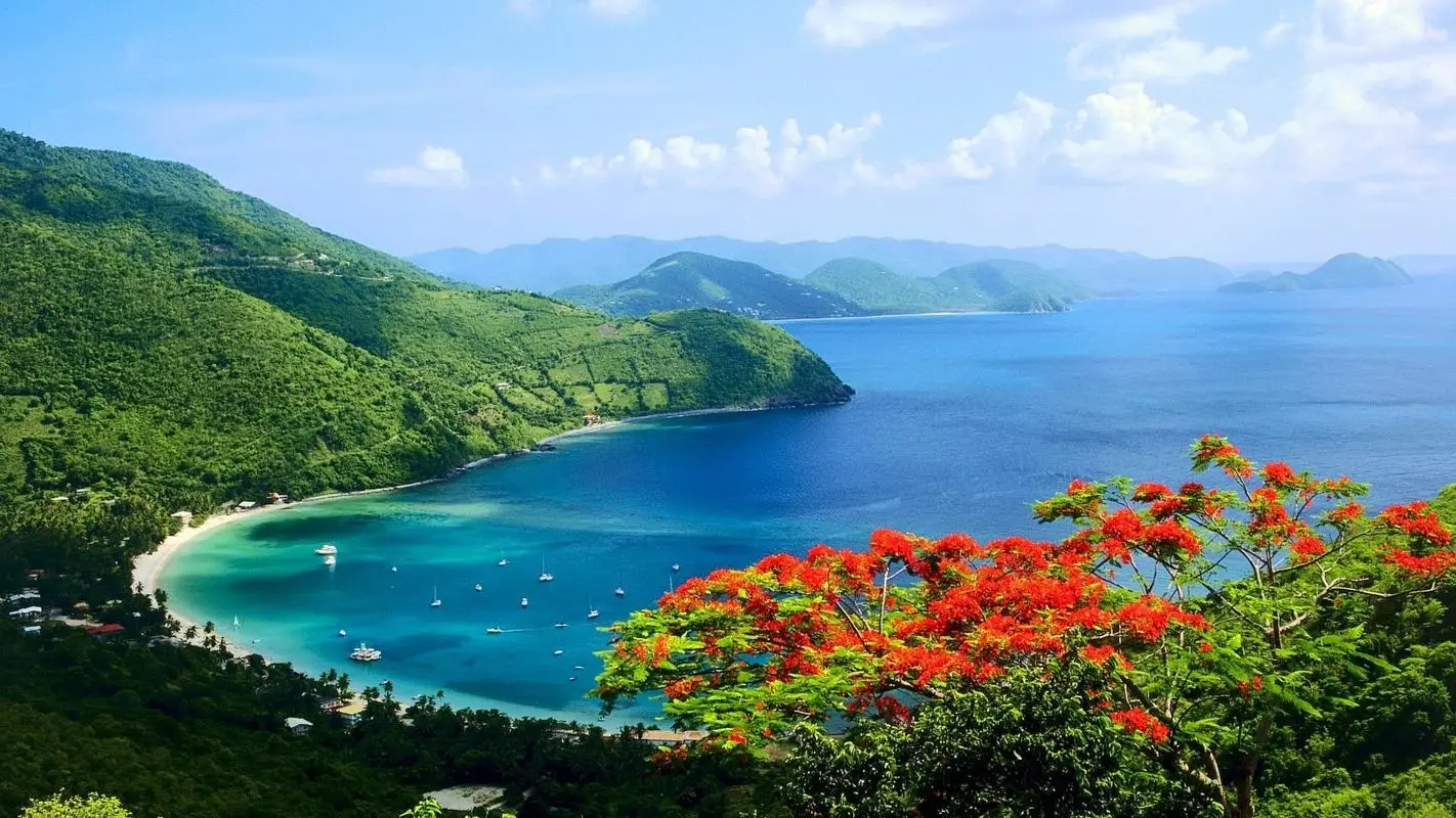 高效先进智能系统
